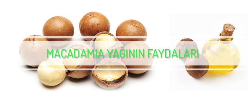Macadamia fındık yağının faydaları